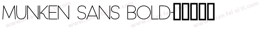 Munken Sans Bold字体转换